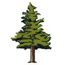 Trees for a Change Coupon Codes